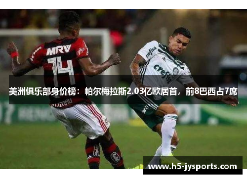 美洲俱乐部身价榜：帕尔梅拉斯2.03亿欧居首，前8巴西占7席